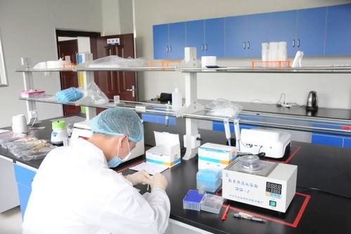 黄梅县市场监督管理局食品快检服务中心2024年2月28日与3月4日检测结果报告